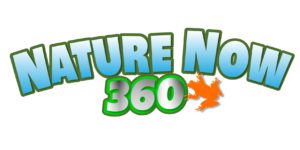 Nature Now 360 logo