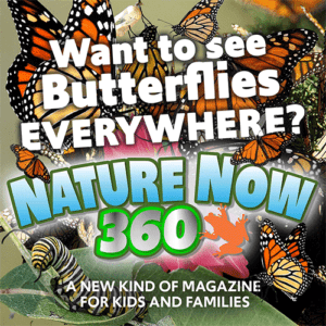 Nature Now 360 Monarch Butterflies Issue Facebook Ad